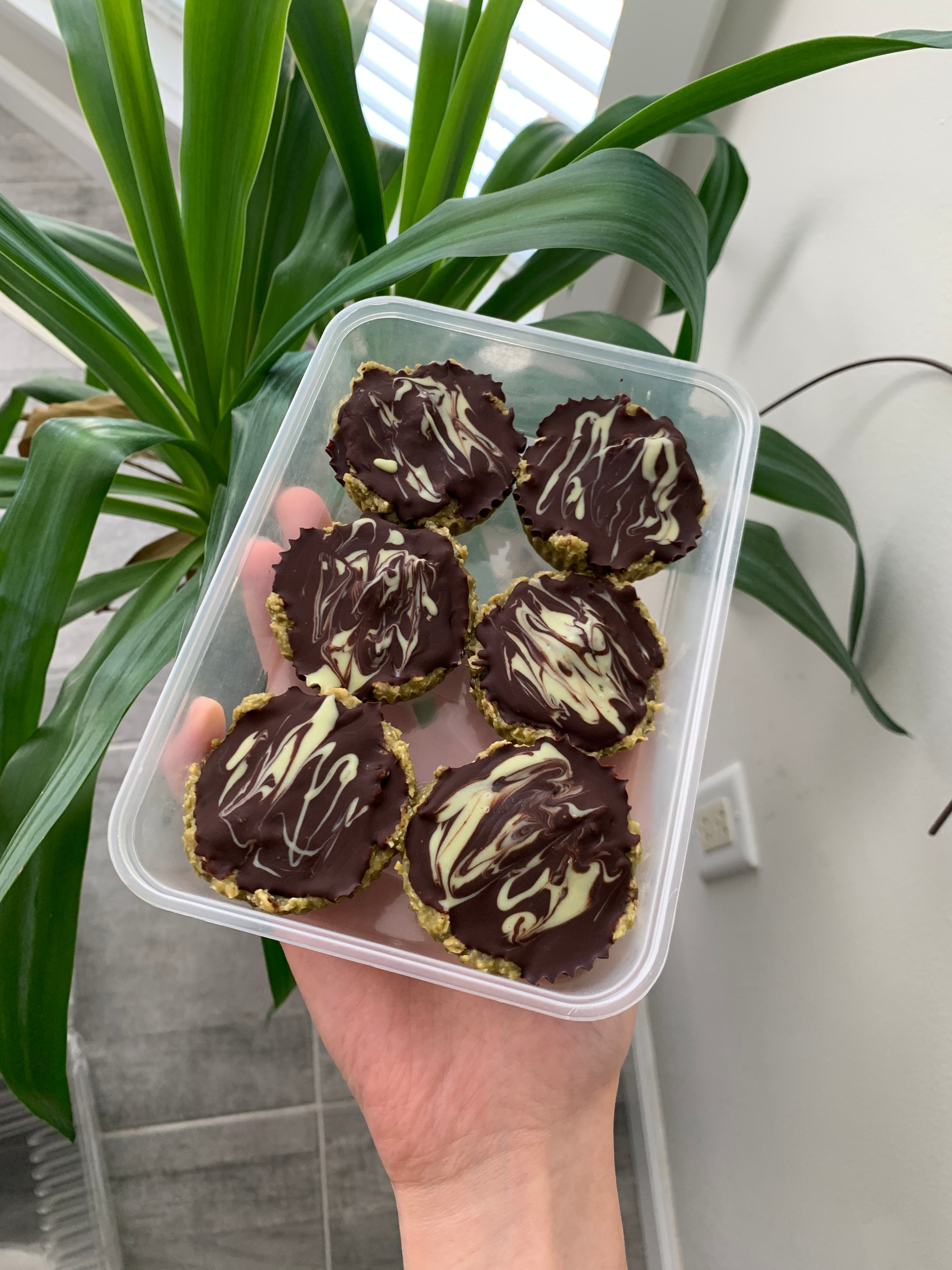 Helen's Recipes 02: No Bake "Protein" Bars