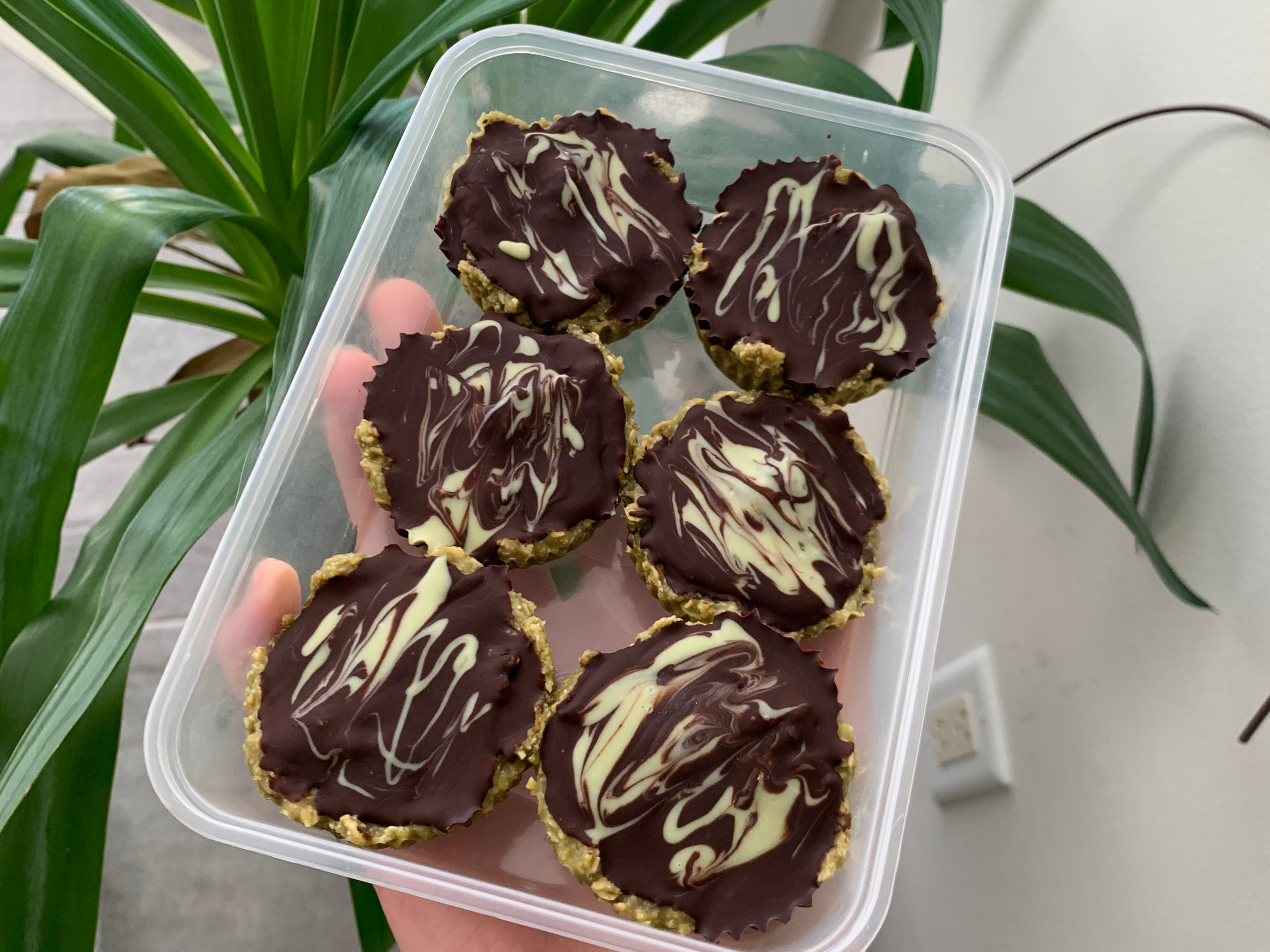 Helen's Recipes 02: No Bake "Protein" Bars