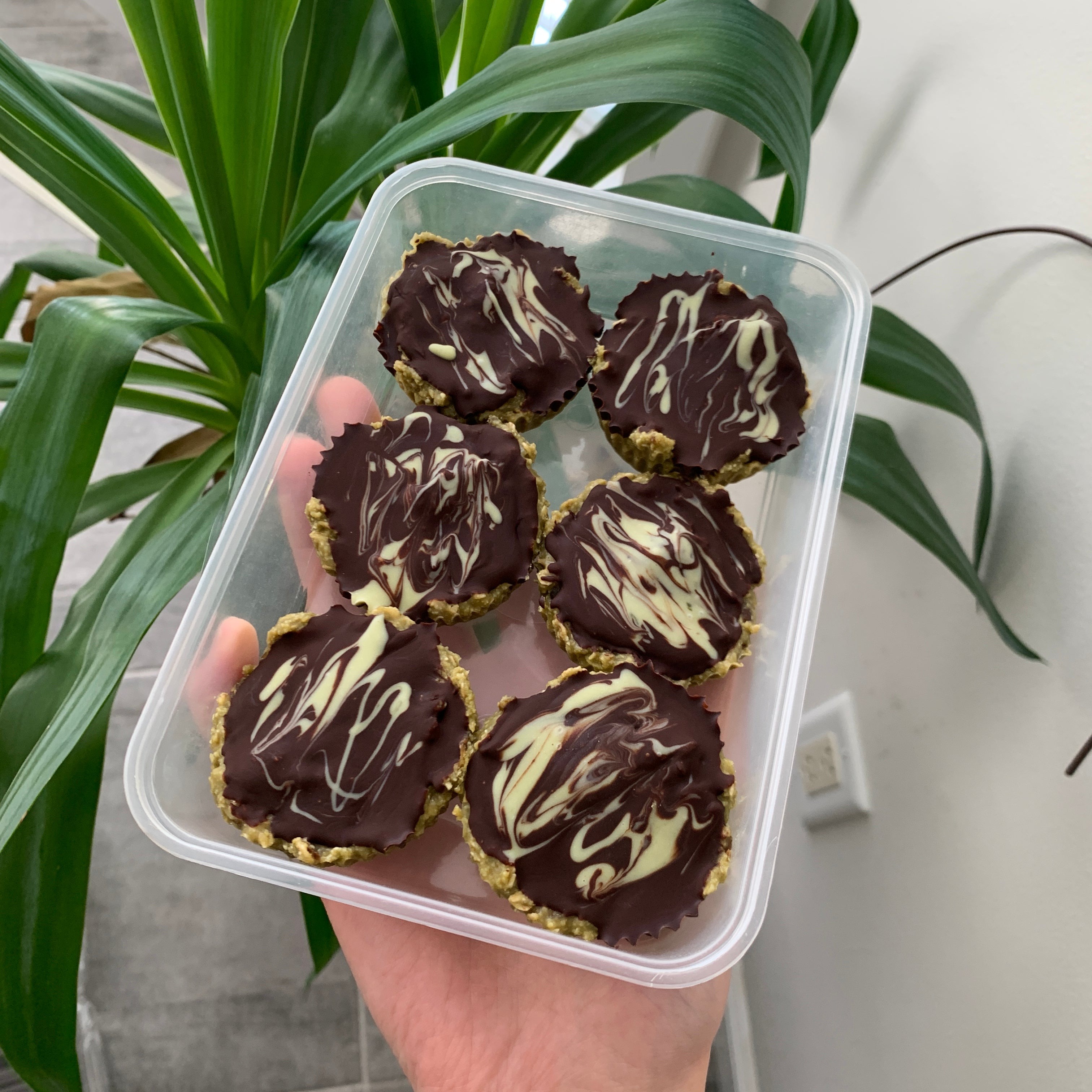Helen's Recipes 02: No Bake "Protein" Bars