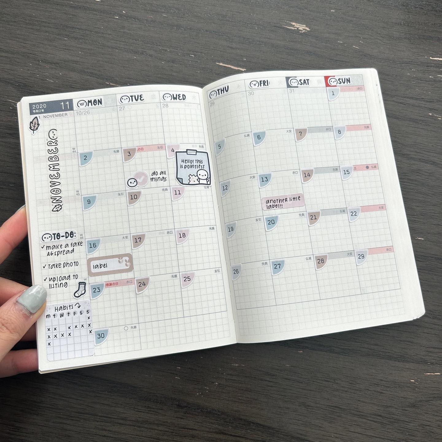 2025 Hobonichi A6 Techo